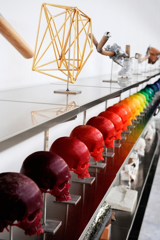 Matthew_Day_Jackson_detail_Study_Collection_1_2009_3650x1100x45cm4