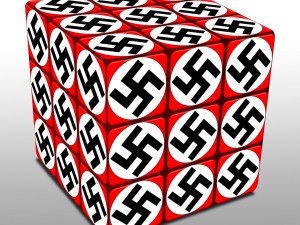 nazi rubik cube