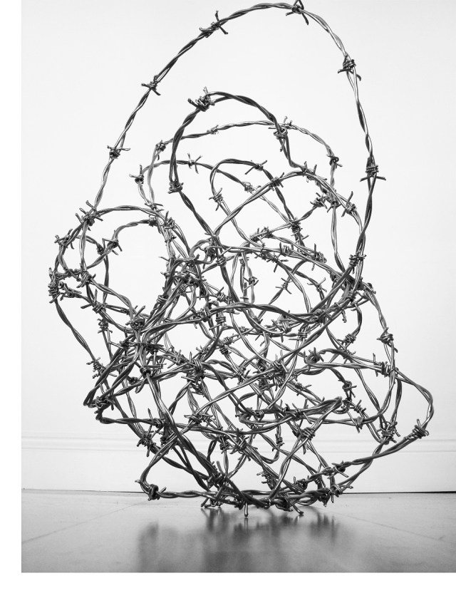 tumbleweednb.1196025508