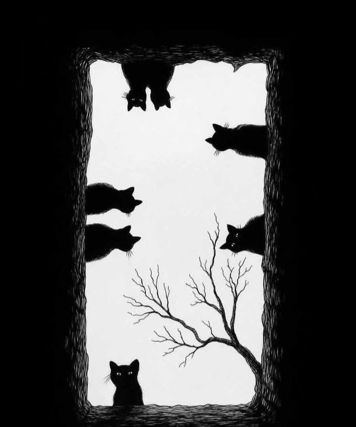 tombe et chats